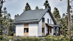 Виноград 142 м2 — Фото №3